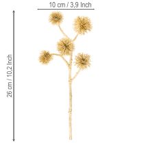 kohteita Keinotekoinen meripihkanvärinen hedelmänoksa, kultakoristeet, 26 cm, 6 kpl:n pakkaus