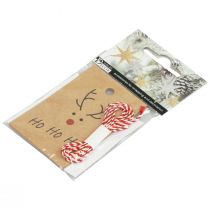 kohteita Jouluriipus porojen askarteluun 5,5x8,5cm 4kpl