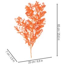 kohteita Kuivatut parsan kukat, oksa, koristeparsa, värjätty, 65 cm, 80 g