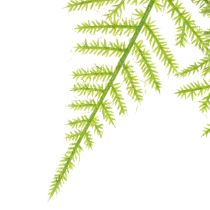 kohteita Keinotekoinen parsa riippuvaksi kasviksi vähähuoltoiseksi kodin sisustukseksi, 75 cm