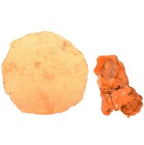 kohteita Osterisinisimpukoiden capiz-viipaleet nettoappelsiinina 3,5–9,5 cm 2 kpl