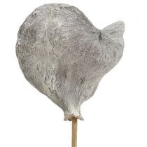 Badam kepillä pesty valkoinen 12cm L55cm 23kpl