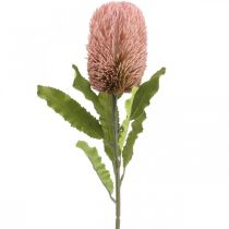 Keinotekoinen kukka Banksia vaaleanpunainen syksyn koristelu muistomerkki 64cm