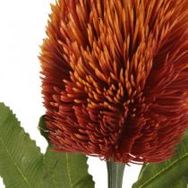 Keinotekoinen kukka Banksia oranssi syksyn koristelu hautajaiset kukka 64cm