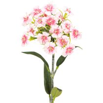 kohteita Parrakas neilikka keinoneiliksi Peach Pink 52cm