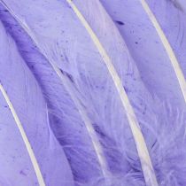kohteita Purppuraisiin hanhenhöyheniin värjättyjä askarteluhöyheniä 20g x 2kpl