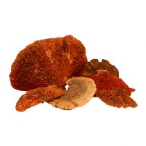 kohteita Puusieni oranssi 1kg