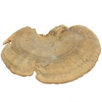 Puusieni luonto 1kg