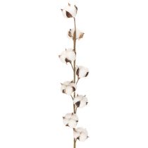 kohteita Keinotekoinen puuvillaoksa, jossa 8 aitoa kukkaa, 78 cm
