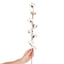 kohteita Keinotekoinen puuvillaoksa, jossa 8 aitoa kukkaa, 78 cm