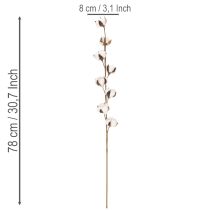 kohteita Keinotekoinen puuvillaoksa, jossa 8 aitoa kukkaa, 78 cm