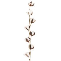kohteita Keinotekoinen puuvillaoksa, jossa 8 aitoa kukkaa, 78 cm