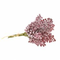 kohteita Marjapoimu punainen, jäinen 21cm 12 kpl