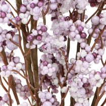 kohteita Marjanoksa Joulunoksa purppura valkoinen huura L60cm 2 kpl