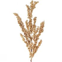 kohteita Marjan oksa kultaisilla marjoilla Jouluoksa 70cm