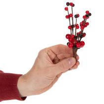 kohteita Tekooksa punaisilla marjoilla, 15 cm, 6 kpl