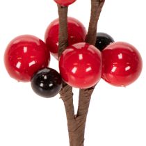 kohteita Tekooksa punaisilla marjoilla, 15 cm, 6 kpl