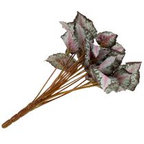kohteita Keinotekoinen begonian pensas vihreä, violetti 34cm