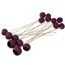 kohteita Kellokuppi varressa kuiva koriste hautajaiskukkakauppa viininpunainen 15 kpl