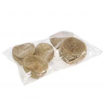 kohteita Kuivattujen hedelmien kellokuppi Luonnollinen surukoristelu 8,5-11cm 10 kpl