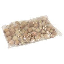 kohteita Bellgum bell hedelmä kapseli hedelmä luonnollinen koriste ruskea 500g