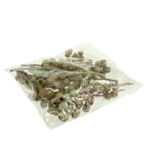 kohteita Bellgum-oksa 4 - 14 päätä 20 kpl