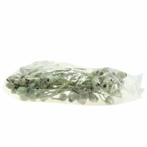 kohteita Bellgum-oksa 5cm - 7cm vihreä himmeä 20 kpl