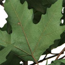 kohteita Sycamore-oksat lehdet koristeelliset vaahteranlehdet vihreät 50-60cm 100g