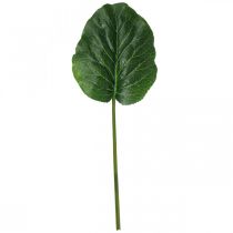 kohteita Keinotekoinen vihreä kasvi Bergenia vihreä keinokasvi 53cm