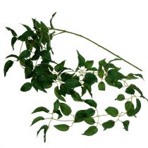 Lehtipuu vihreä 160cm