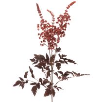 kohteita Tekokukka Astilbe pitkävartinen loisto 80cm
