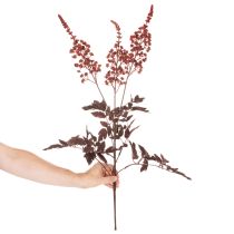kohteita Tekokukka Astilbe pitkävartinen loisto 80cm