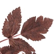 kohteita Tekokukka Astilbe pitkävartinen loisto 80cm