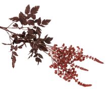 kohteita Tekokukka Astilbe pitkävartinen loisto 80cm
