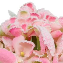 Hortensia vaaleanpunainen lunta 33cm 4kpl