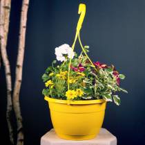 kohteita Riippukori 25cm violetti