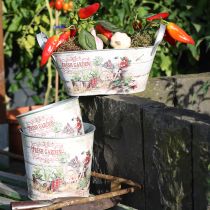 kohteita Kukkaruukku pieni metallivärinen Fresh Garden H16cm 2kpl