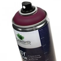 OASIS® Easy Color Spray, maalispray Erika 400ml