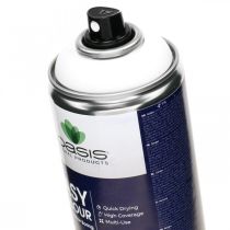 OASIS® Easy Color Spray, maalispray valkoinen, talvikoristelu 400ml