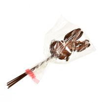 kohteita Kukkatulppa ruosteinen kanin koriste 7,5cm×11,5cm 6 kpl