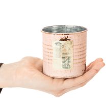 kohteita Kukkaruukku koristeellinen lohi metallinen yrttipurkki Ø8cm K7.5cm