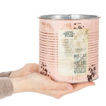 kohteita Kukkaruukku koristeellinen lohi metallinen istutuskone Ø15,5cm K15cm