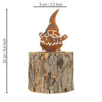 kohteita Kukkaruukku, puukuori, gnome, ruoste, korkeus 24 cm