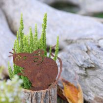 kohteita Puinen kukkaruukku, kuori ja hiiri, ruoste, korkeus 24 cm
