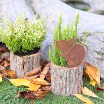 kohteita Puinen kukkaruukku, kuori ja hiiri, ruoste, korkeus 24 cm