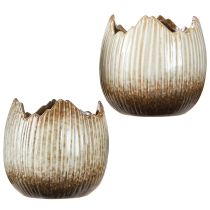 kohteita Kukkaruukku Keraaminen Muna Murtunut Kerma Ruskea Ø11,5cm 2 kpl