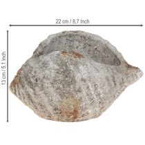 kohteita Kukkaruukun kuorikivi antiikkiharmaa merellinen 22×18×13cm