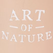 kohteita Sinkkiruukku, metallinen istutusastia, antiikkiruusu, Ø22cm, korkeus 21cm