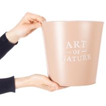 kohteita Art of Nature metalliset koristeelliset ruukut 22 cm, 2 kpl, pastellivärit