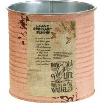 kohteita Kukkaruukku koristeellinen peltilohi metalli kesäkoristeet Ø11cm K10,5cm